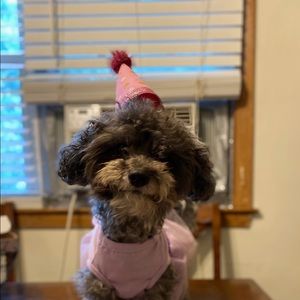 Meet your Posher, Janet